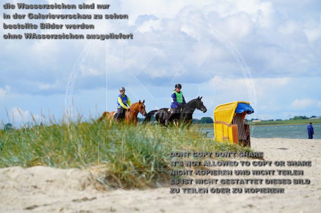 s_K3F05198.JPG